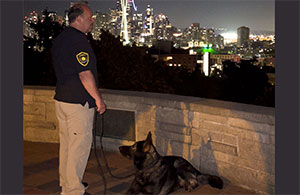 Seattle Assets security